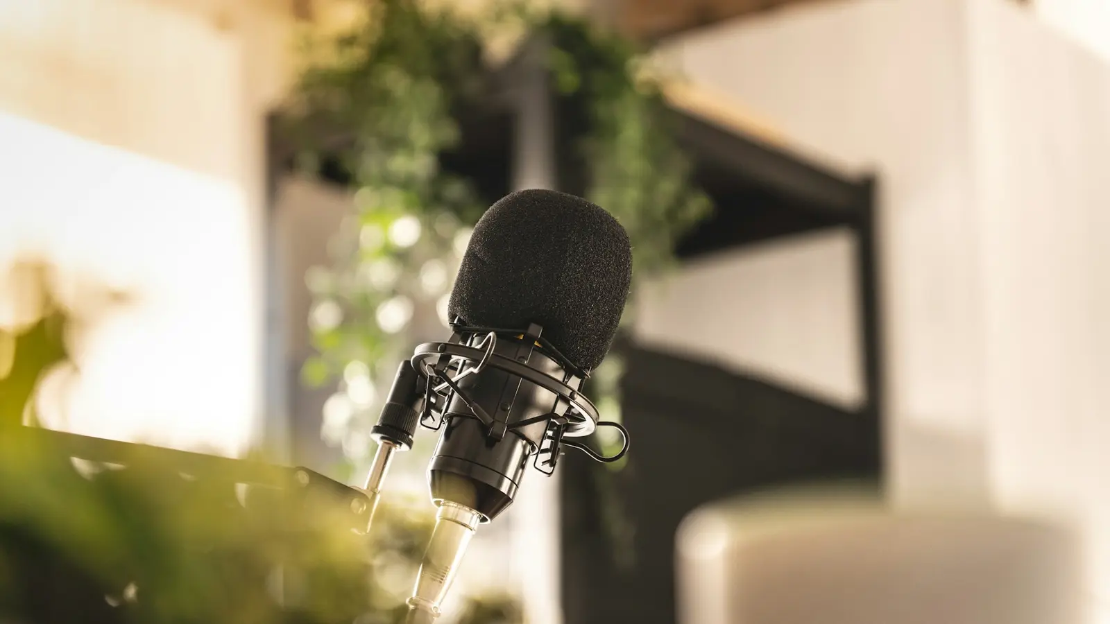 A recording microphone in shallow focus beside a bright window