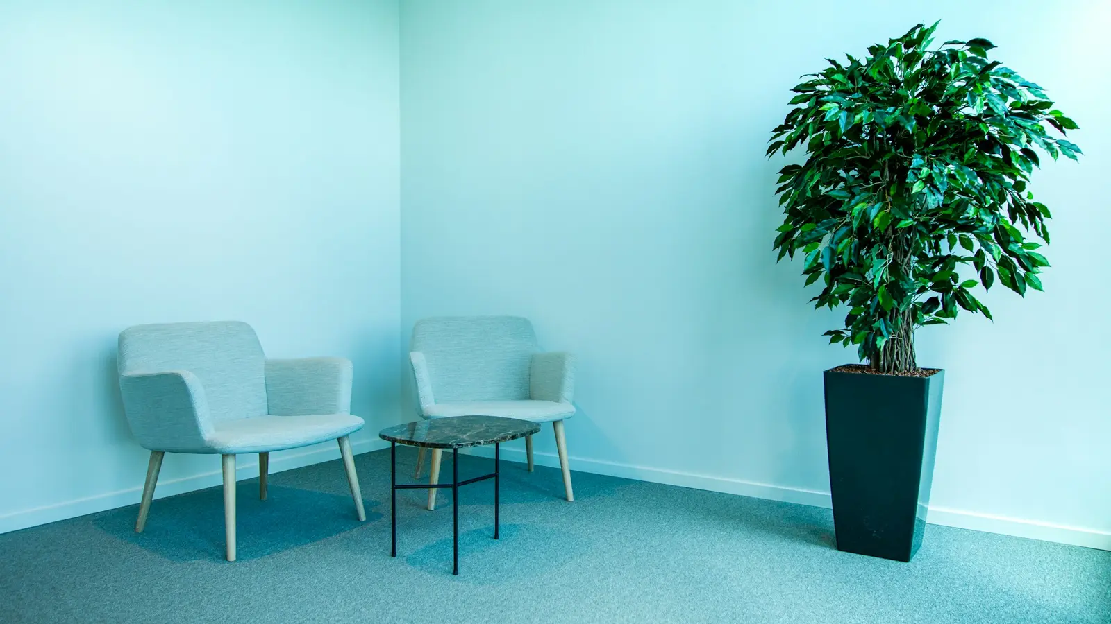 An empty teal waiting room with two chairs and a potted plant